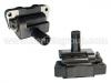 Ignition Coil:22433-0M200