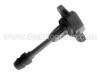 Ignition Coil:22448-AX001