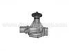 Pompe à eau Water Pump:21010-66000