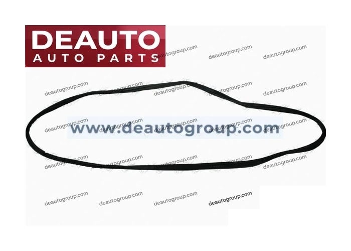Back Door Weatherstrip