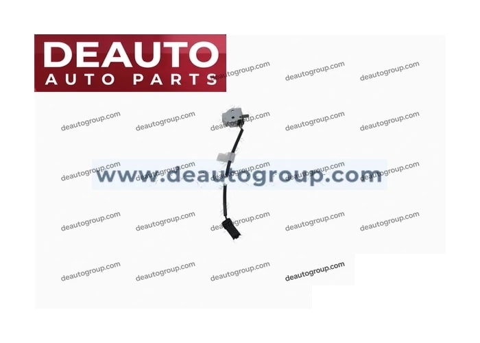 Park Brake Switch Assembly