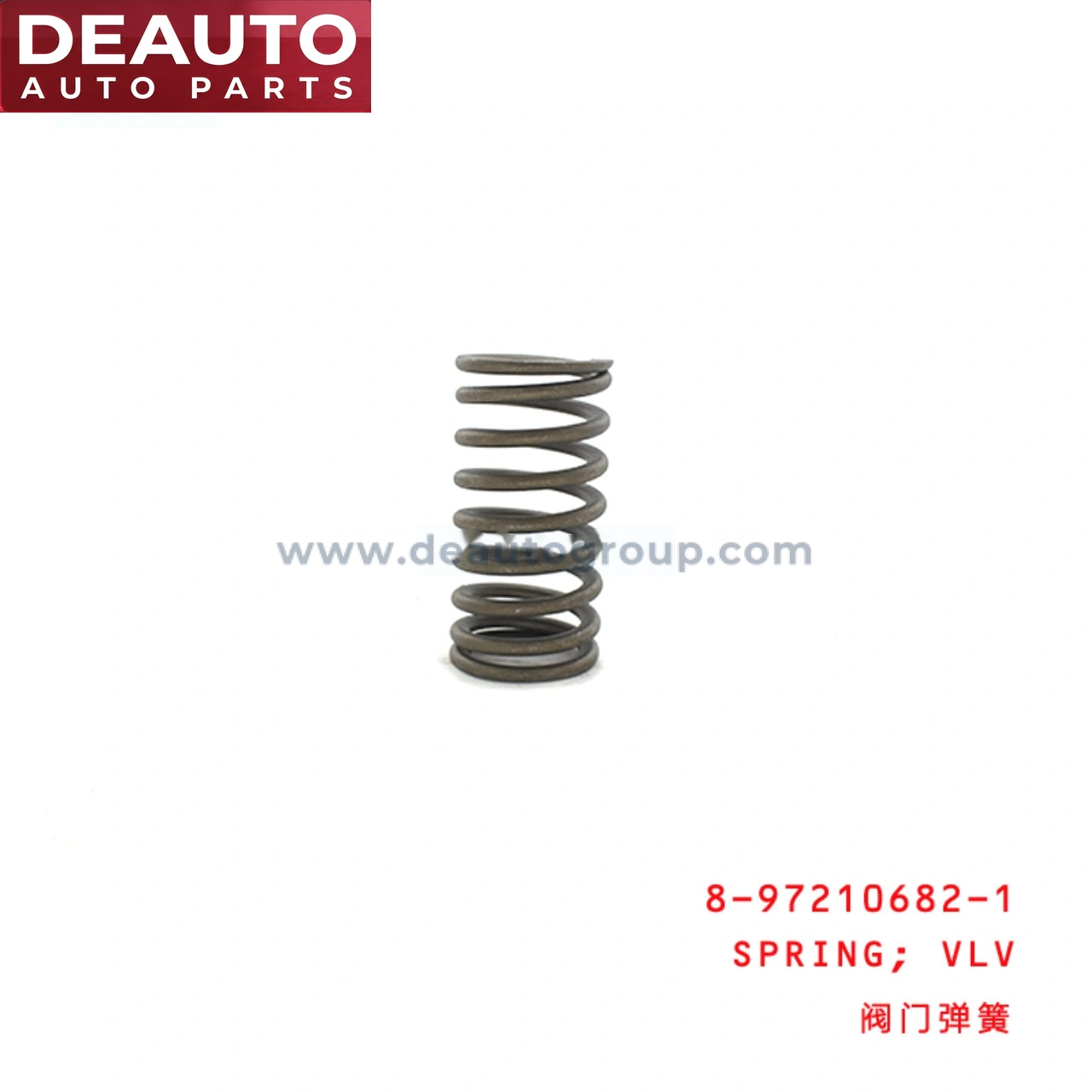 Valve Spring