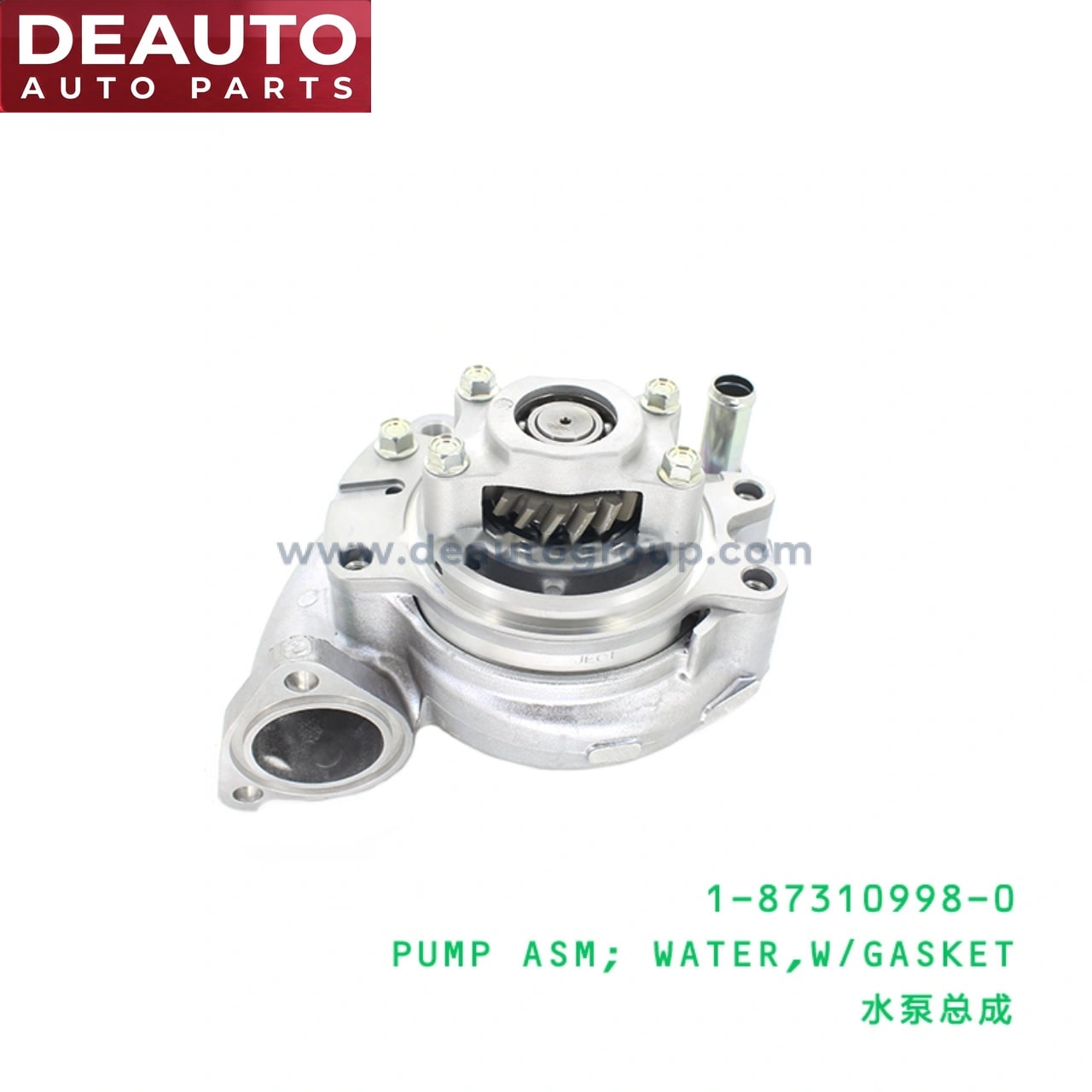 Water Pump Assembly With Gasket