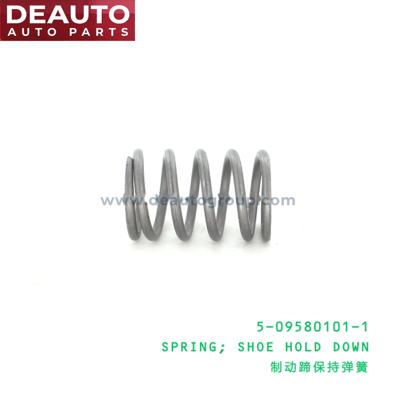 Shoe Hold Down Spring