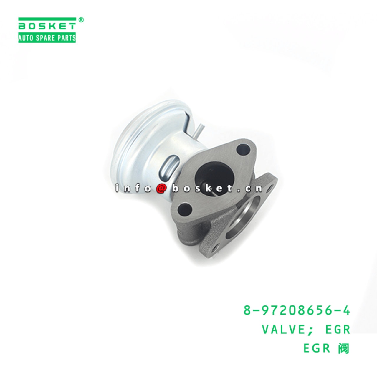 EGR Valve