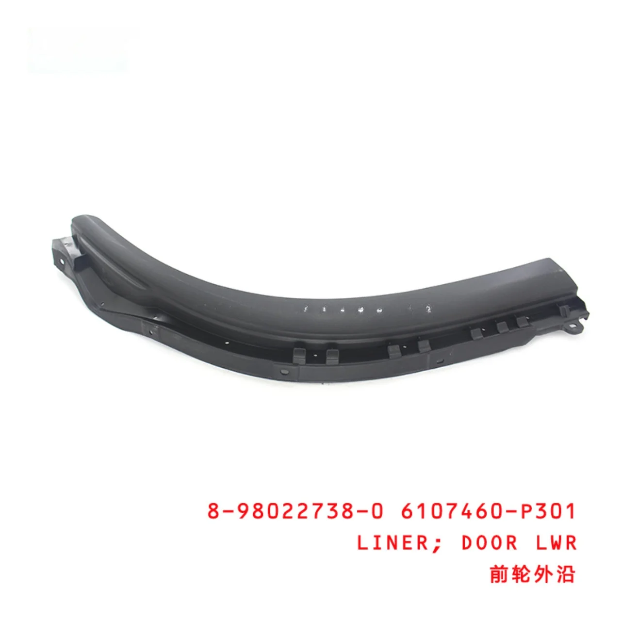 Door Lower Liner 6107460P301