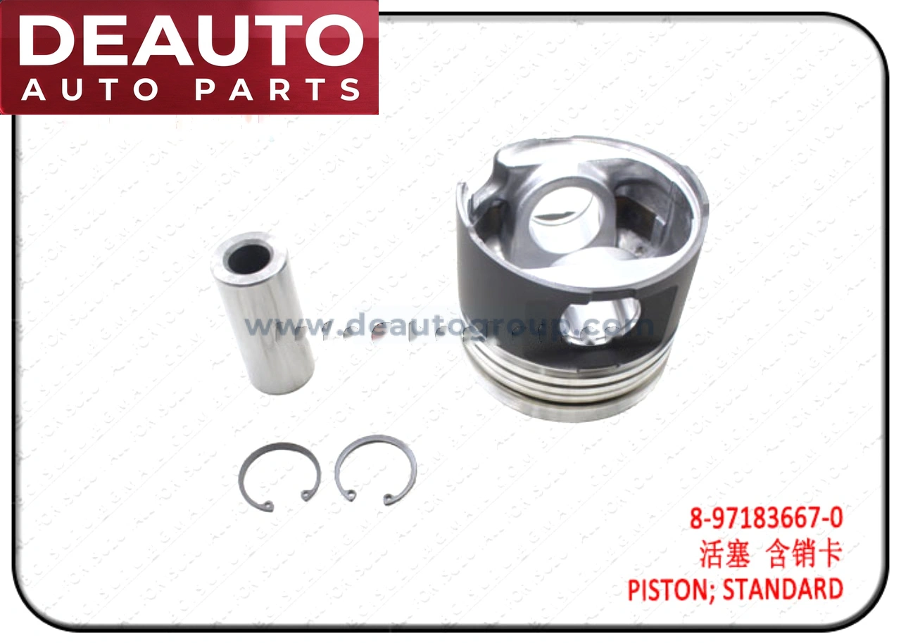 Standard Piston