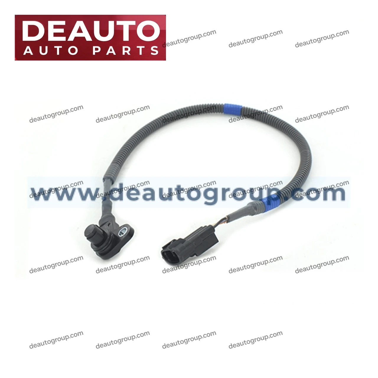 Cam Angle Sensor
