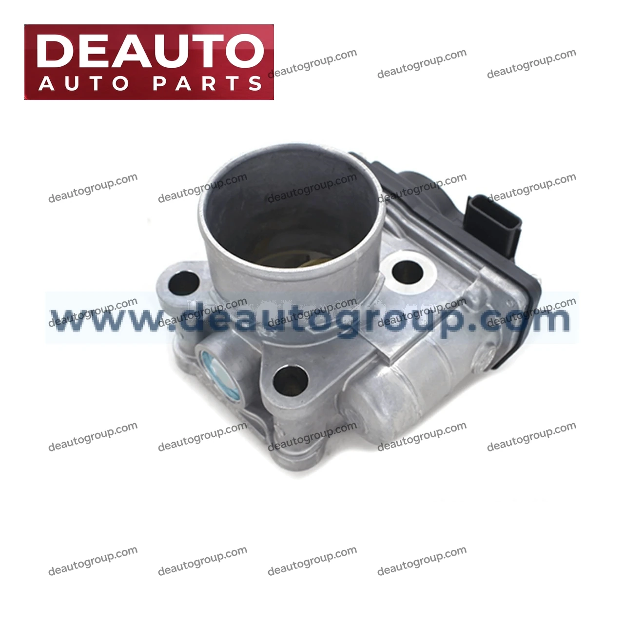 Throttle Valve Assembly