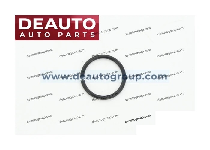 Element To Body Gasket