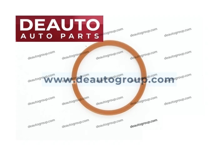 Oil Cooler Gasket