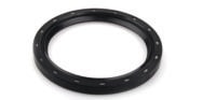 Rear Crankshaft Oil Seal