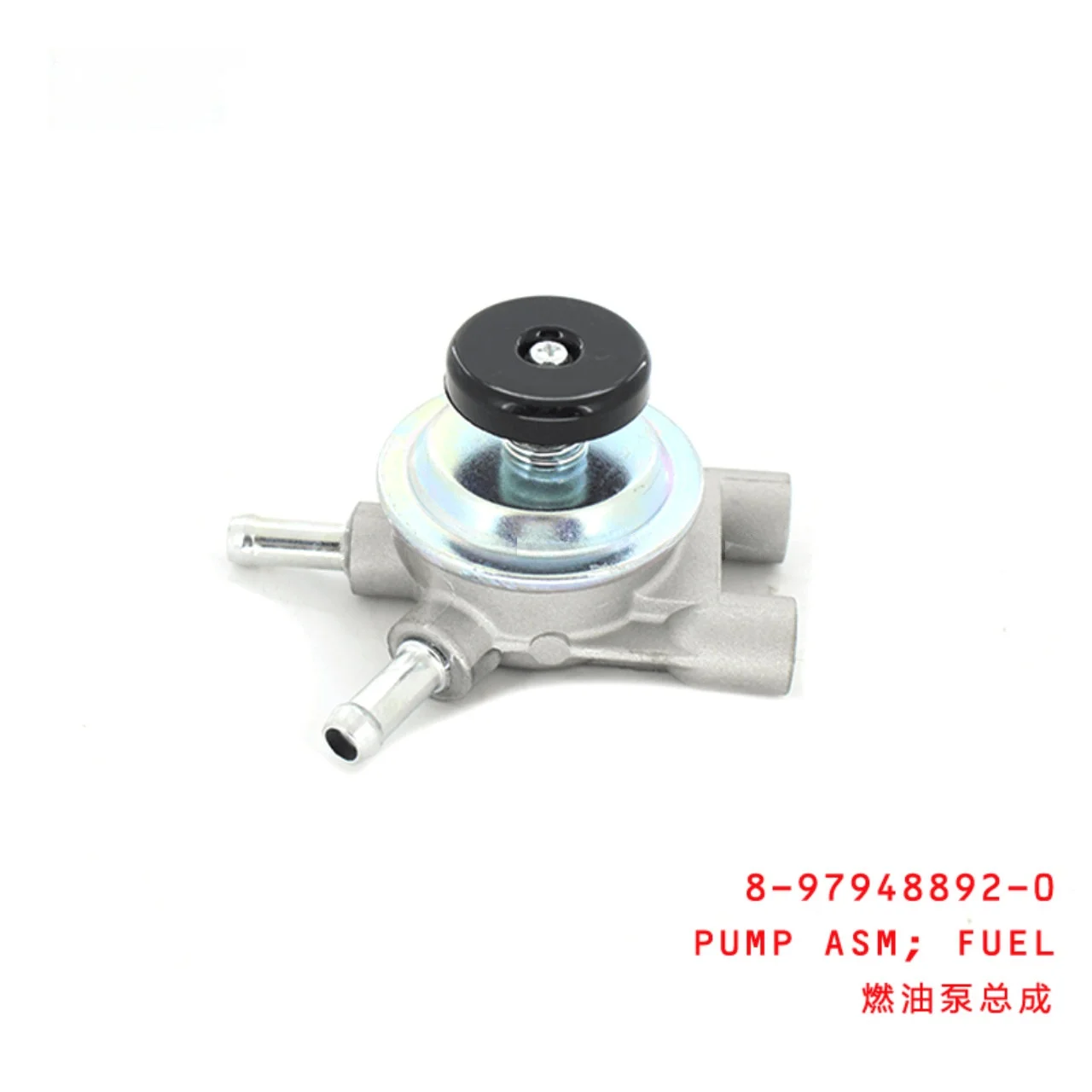 Fuel Pump Assembly